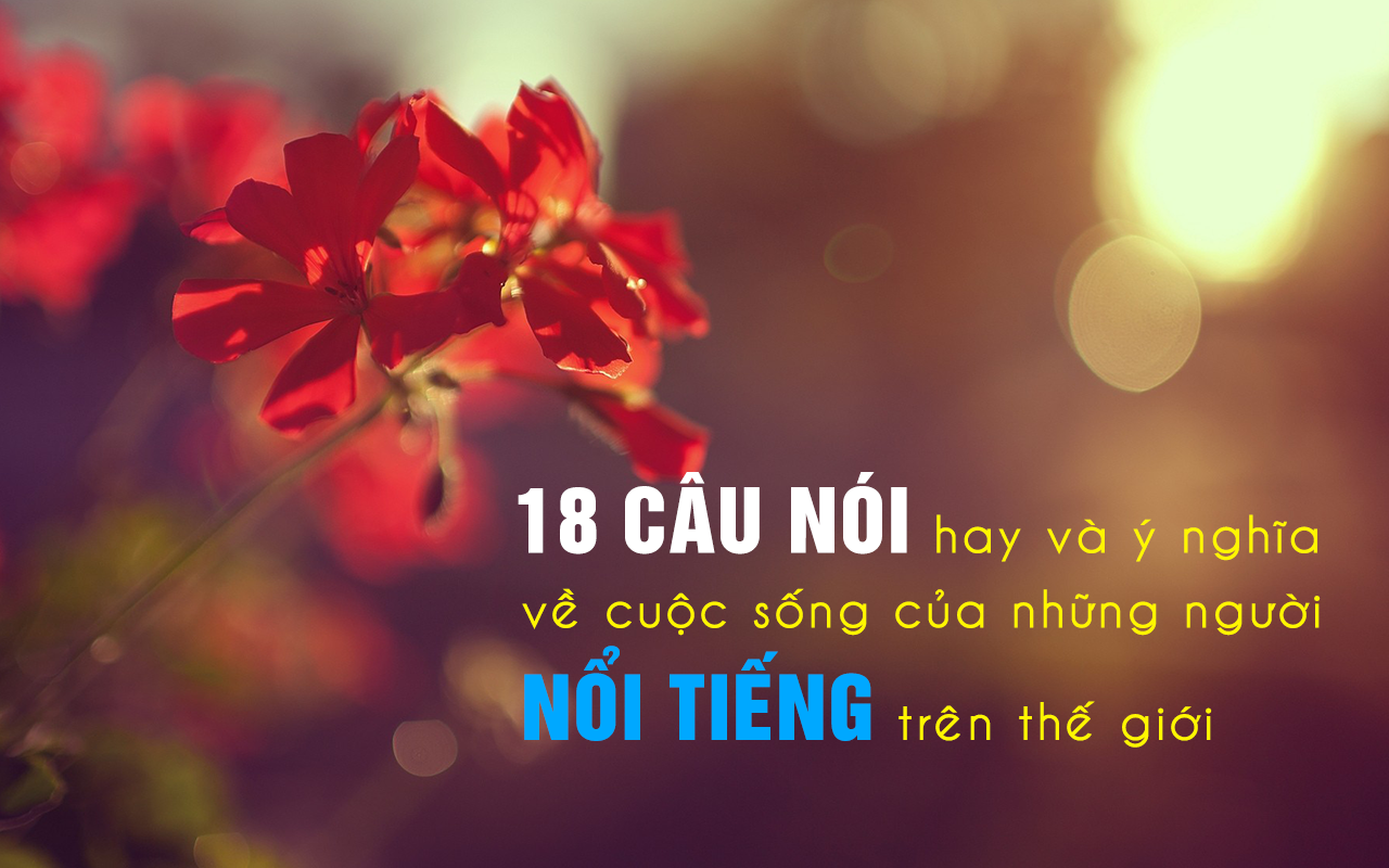 18-cau-noi-hay-va-y-nghia-ve-cuoc-song-cua-nhung-nguoi-noi-tieng