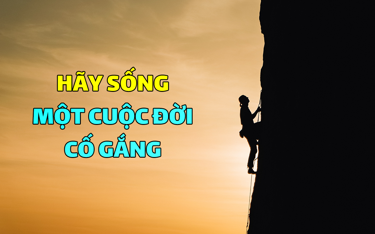 hay-song-mot-cuoc-doi-co-gang