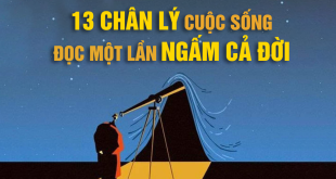 13-chan-ly-cuoc-song-doc-mot-lan-ngam-ca-doi